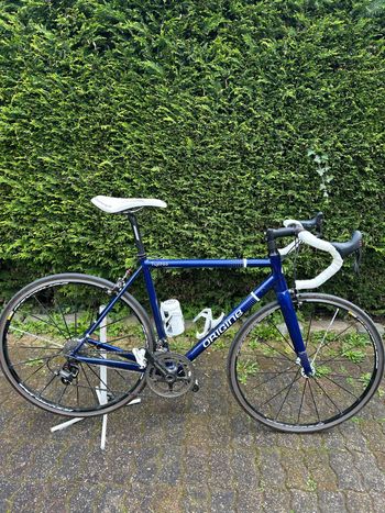 Origine, Tuxedo Campagnolo Centaur
