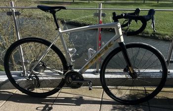 Trek, Domane AL 4 Disc 2021