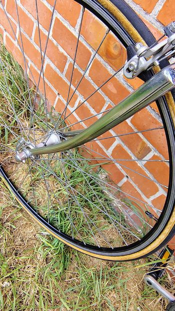 Used Guerciotti Guerciotti Custom Other Shimano 1989 Road & Gravel, Nero — image 4 of 19