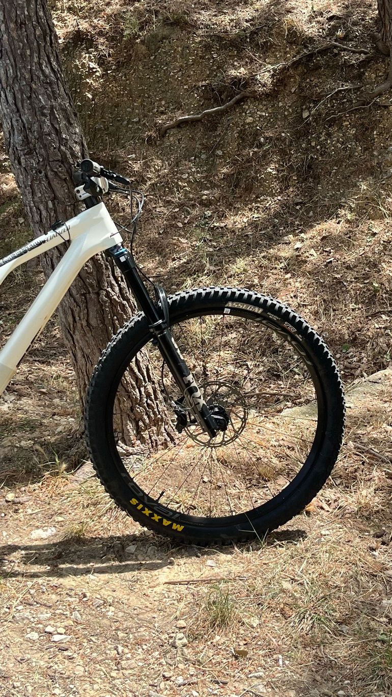 Used Specialized Stumpjumper EVO Expert - SRAM GX Eagle AXS, FOX Performance Elite 2023 2023 Mountainbike, White, 29 — image 3 of 29