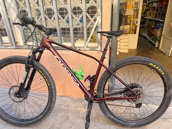 Used Orbea ALMA H11 2024 2024 MTB