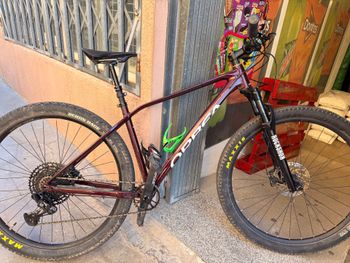 Used Orbea ALMA H11 2024 2024 Mountainbike, Red, 29 — image 2 of 5