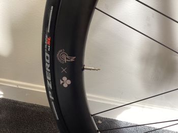 Used Colnago Steelnovo 70th Anniversary Edition Steelnovo Settanta - limited edition 2025 2025 Road & Gravel, Light Gray — image 23 of 32
