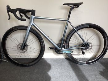 Used Colnago Steelnovo 70th Anniversary Edition Steelnovo Settanta - limited edition 2025 2025 Road & Gravel, Light Gray — image 12 of 32