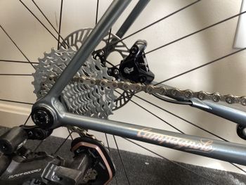 Used Colnago Steelnovo 70th Anniversary Edition Steelnovo Settanta - limited edition 2025 2025 Road & Gravel, Light Gray — image 26 of 32