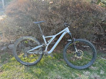 Specialized, Stumpjumper Comp Alloy 29 2020