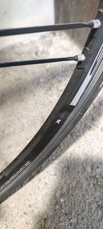 Used Canyon Ultimate Campagnolo Chorus 2016 Road & Gravel, Blau — image 14 of 14