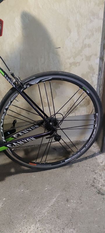 Canyon Ultimate Campagnolo Chorus 2016 Road & Gravel d'occasion — image 5 sur 14