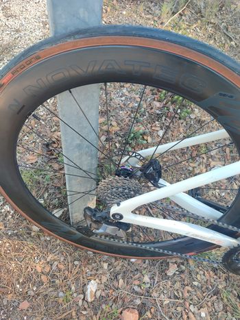 Used Lapierre Xelius DRS 8.0 2025 2025 Road & Gravel, White — image 3 of 6