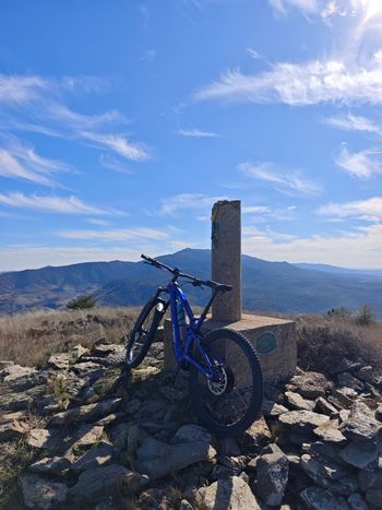 Trek, Fuel EXe 9.5 2023