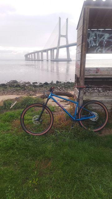 Used Marin El Roy 2023 2023 Mountainbike, Blue, 29 — image 2 of 3
