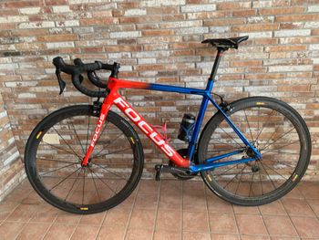 Used Focus Izalco Shimano Ultegra 2019 Road & Gravel — image 2 of 8