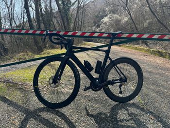 Used Salvador Salvador Custom Shimano Ultegra Di2 2023 Road & Gravel — image 2 of 4