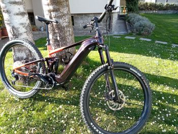 Used Giant Trance X E+ 1 2023 2023 Mountainbike — image 10 of 10