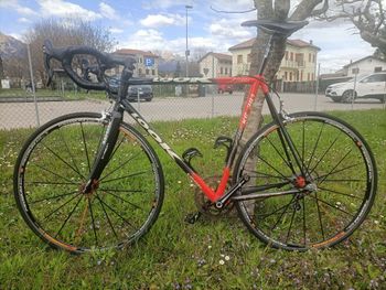Used Look Look Custom Campagnolo Chorus 2004 Route & Gravel