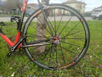 Used Look Look Custom Campagnolo Chorus 2004 Road & Gravel — image 5 of 5