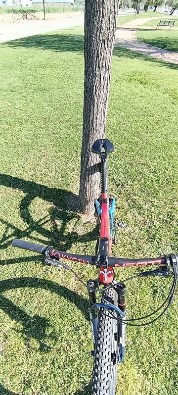 Used Wilier SLR 2025 Mountainbike, Red, 29 — image 4 of 31