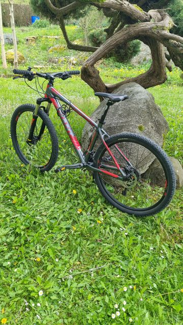 Used Giant Talon 27.5 3 2016 2016 Mountainbike, Red, 27.5 — image 6 of 8