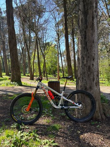 Pivot, Firebird 29 Pro X01 2023