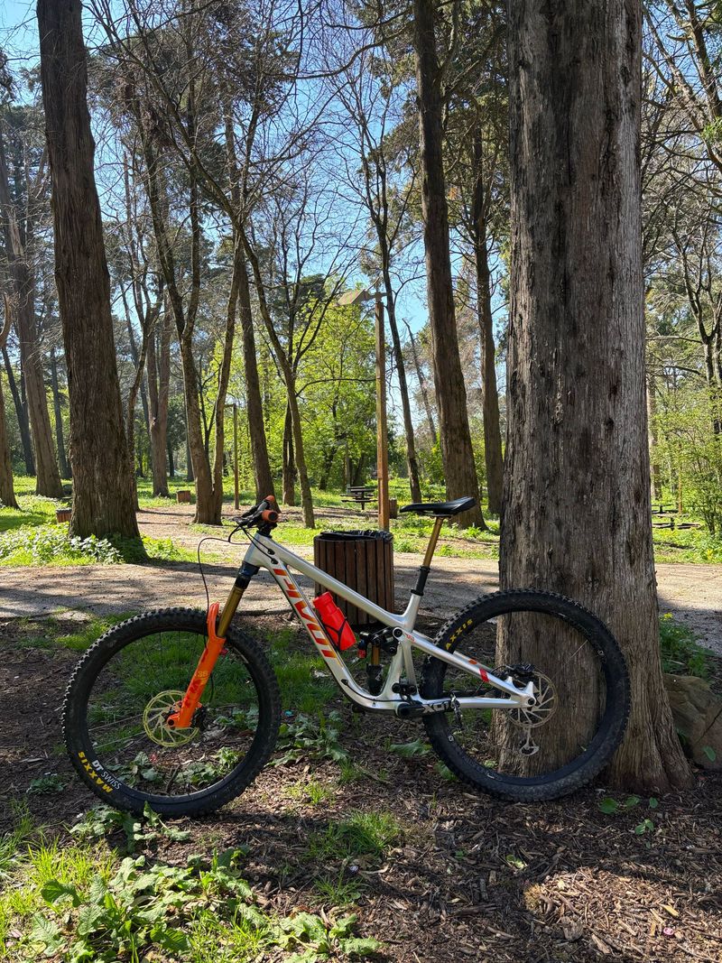 Brugt Pivot Firebird 29 Pro X01 2023 2023 Mountainbike — billede 1 af 3