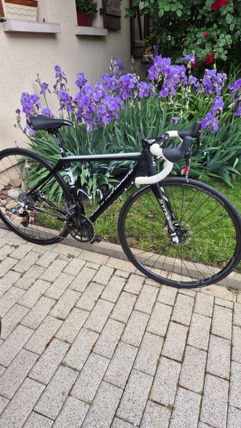 Used canondale Canondale Custom SRAM Red eTap AXS 2015 Road & Gravel — image 4 of 19