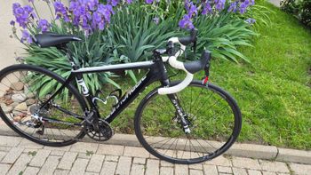 Used canondale Canondale Custom SRAM Red eTap AXS 2015 Road & Gravel — image 12 of 19