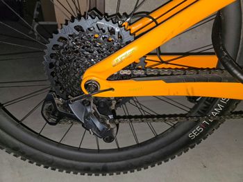 Trek, Remedy 9.8 2022
