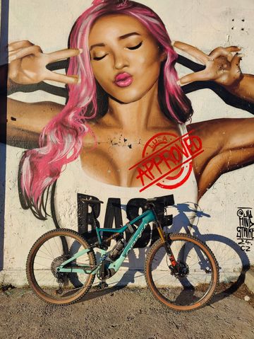 Gebrauchtes Orbea RISE M-LTD 20mph 2021 2021 MTB