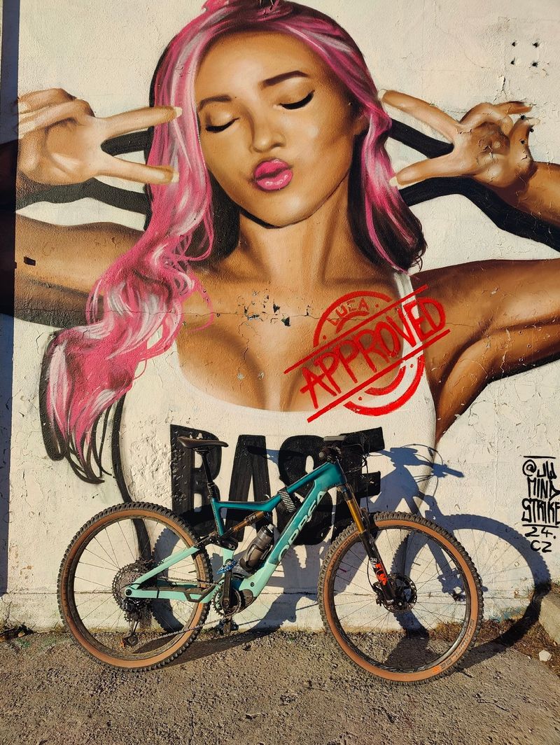 Gebrauchtes Orbea RISE M-LTD 20mph 2021 2021 MTB