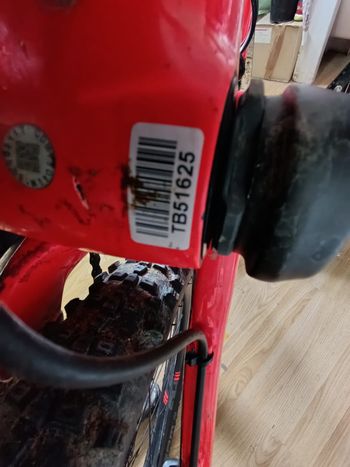 Used Cannondale Scalpel-Si Carbon 3 2019 2019 Mountainbike, Red, 29 — image 9 of 9