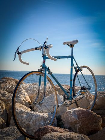 Vitus, Vitus Custom Simplex Vintage