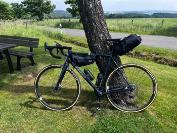 Standert, Pfadfinder Emerald Rush Sram Force Mechanical