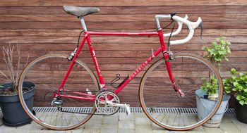 Gazelle, Gazelle Custom Shimano 600