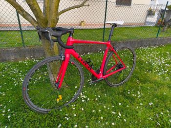 Used Trek Émonda SL 6 2016 2016 Road & Gravel, Red — image 8 of 8