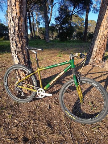 Cannondale, F1000 CAAD4 1999
