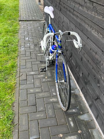 Used Giant Custom Other 1990 Road & Gravel, Blue — image 2 of 10