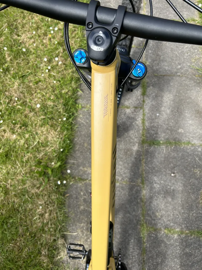 Used Canyon Torque 29 AL 6 2022 Mountainbike — image 4 of 5