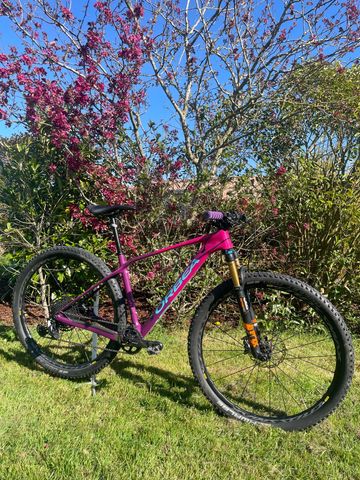 Gebrauchtes Orbea ALMA M15 2019 2019 Mountainbike, Violett, 29 — Bild 1 von 20
