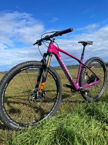 Used Orbea ALMA M15 2019 2019 Mountainbike, Purple, 29 — image 13 of 20