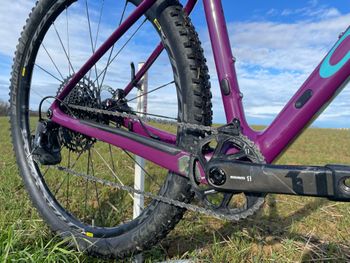 Used Orbea ALMA M15 2019 2019 Mountainbike, Purple, 29 — image 8 of 20