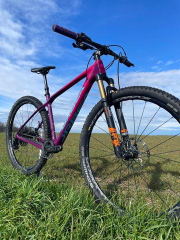 Gebrauchtes Orbea ALMA M15 2019 2019 Mountainbike, Violett, 29 — Bild 2 von 20