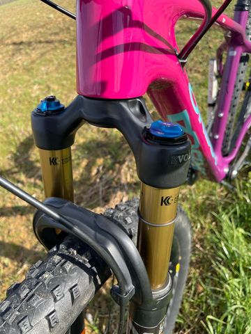 Gebrauchtes Orbea ALMA M15 2019 2019 Mountainbike, Violett, 29 — Bild 18 von 20
