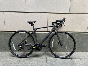 Canyon, Endurace CF 7 2023