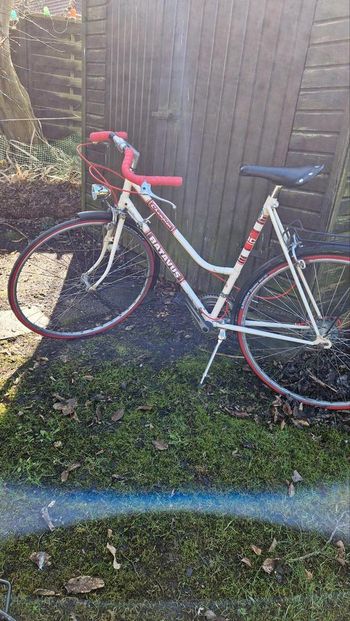 Batavus, Batavus Champion