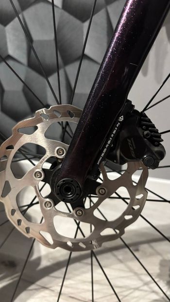 Used Lapierre Xelius SL 5.0 Di2 2024 2024 Road & Gravel — image 5 of 6