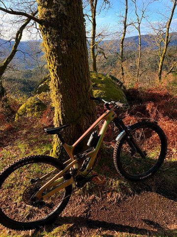 Used Cannondale Jekyll Shimano Deore XT 2024 Mountainbike, Green, 29 — image 3 of 5