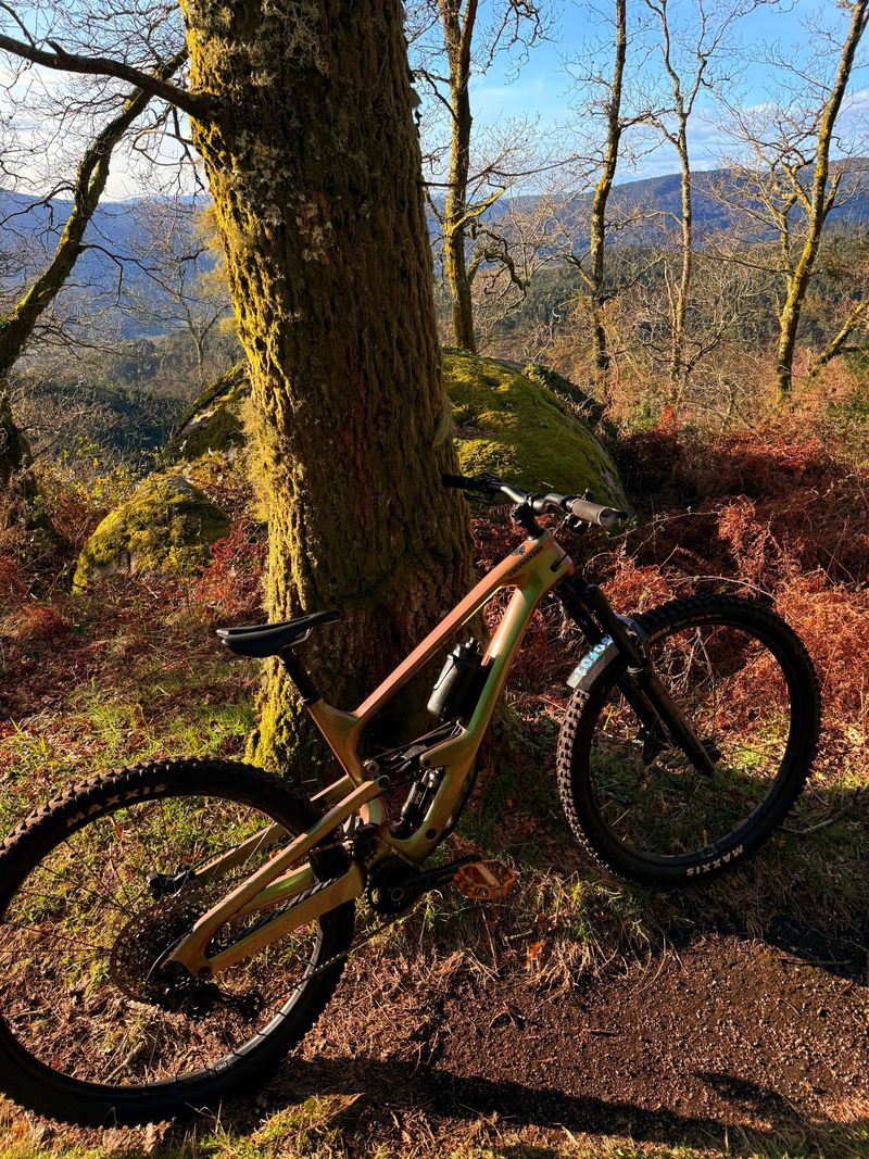 Used Cannondale Jekyll Shimano Deore XT 2024 Mountainbike, Green, 29 — image 3 of 5
