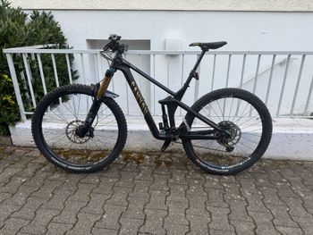 Canyon, Strive CF 7.0 2020