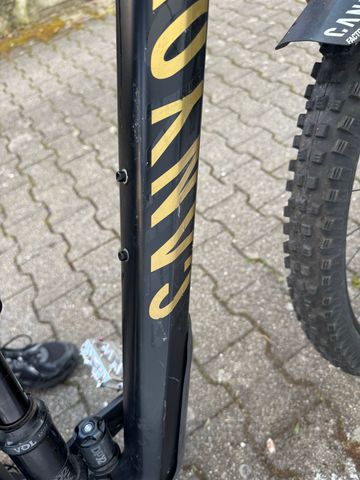 Used Canyon Strive CF 7.0 2020 2020 Mountainbike, Black, 29 — image 3 of 6