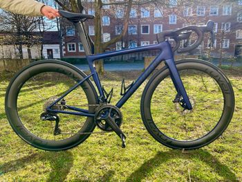 Specialized, Tarmac SL8 Pro - Shimano Ultegra Di2 2024